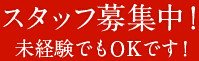 スタッフ募集中！未経験でもOKです！